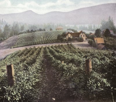 Oregón: Agricultura diversificada en el Valle de Willamette (foto) de American Photographer (after)
