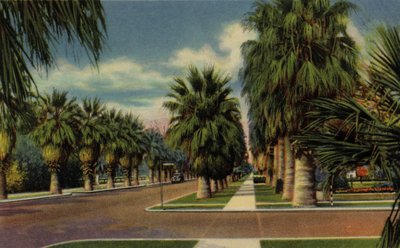 Phoenix, Arizona: North Central Avenue de American Photographer (after)