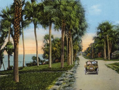 Riverside Drive, Fort Pierce, Florida de American Photographer (after)