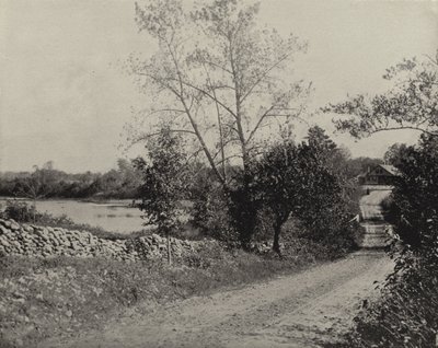Estanque de Ranas de Windham, Windham, Connecticut de American Photographer (after)
