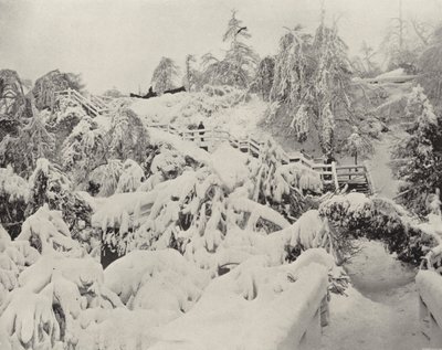 Follaje de Invierno en la Isla Luna de American Photographer (after)