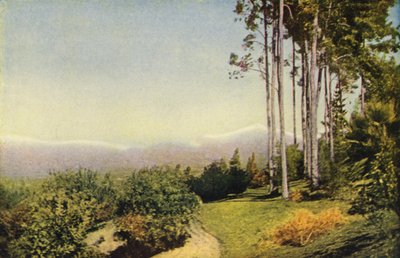 Un paisaje del sur de California cerca de Redlands (foto en color) de American Photographer