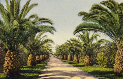 Una calzada en Riverside (foto en color) de American Photographer