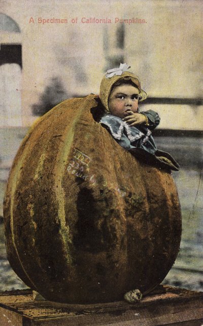 Un espécimen de calabazas de California de American Photographer