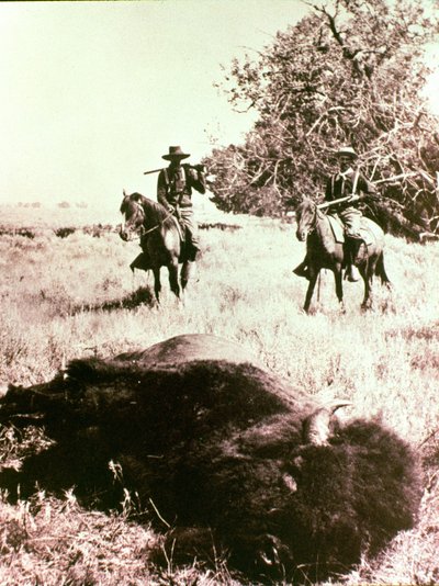 Cazadores de Bisonte Americano de American Photographer