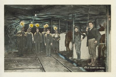 Minería del carbón en Estados Unidos: Establo sanitario para mulas en la mina (foto en color) de American Photographer