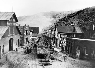 Black Hawk, inundación, c.1895 de American Photographer