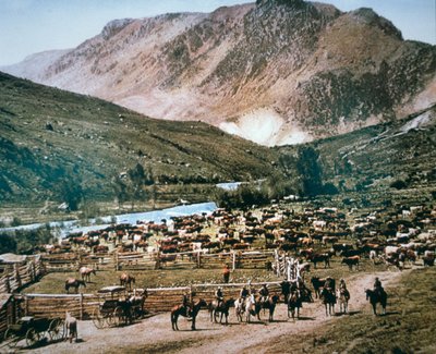 Rancho de ganado, Colorado de American Photographer