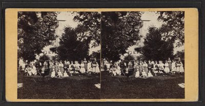 Niños y parque infantil, Comunidad de Oneida, Estado de Nueva York, c.1870 de American Photographer