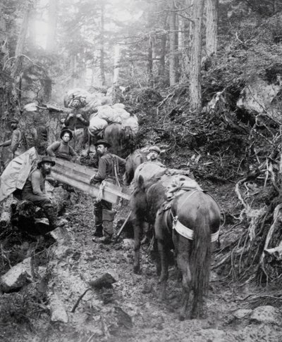 Escalando el Sendero Dyea en camino al Paso Chilkoot durante la Fiebre del Oro de Klondike (1897-98) de American Photographer