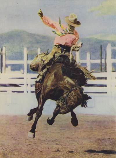 Vaquero domando un caballo de American Photographer