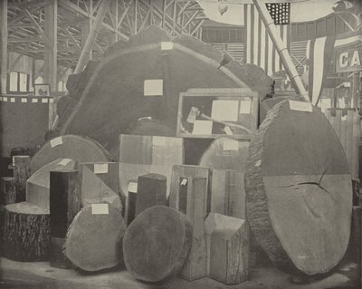 El Hacha de Gladstone de American Photographer