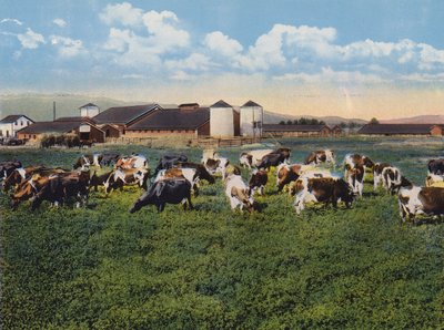 H R Timm Dairy, Dixon, California (foto en color) de American Photographer