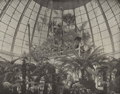 Interior de la Cúpula Hortícola de American Photographer