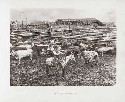 Kansas City, Missouri, EE.UU. de American Photographer