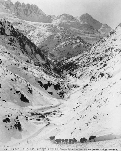 Vista desde Cutoff Canyon medio milla debajo del White Pass Summit, durante la Fiebre del Oro de Klondike (1817-98) 1898 de American Photographer