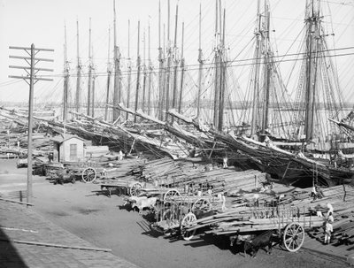 Muelle Tallapiedras, La Habana, c.1904 de American Photographer