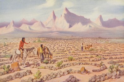 Laberinto místico de los indios Mojave, cerca de Needles, California (foto coloreada) de American Photographer