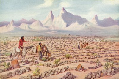 Laberinto Místico de los Indios Mojave, cerca de Needles, California de American Photographer