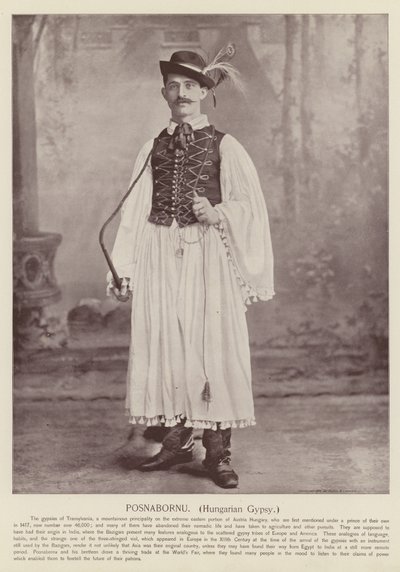 Posnabornu, gitano húngaro de American Photographer