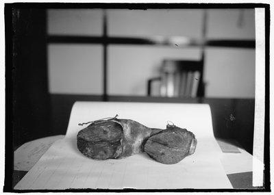 Unidad de Prohibición (Zapatos de Vaca), 28 de junio de 1924 de American Photographer