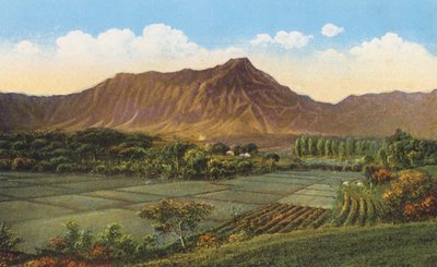 Campos de arroz, Oahu (foto en color) de American Photographer
