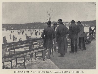 Patinaje en el lago Van Cortlandt, Borough del Bronx de American Photographer
