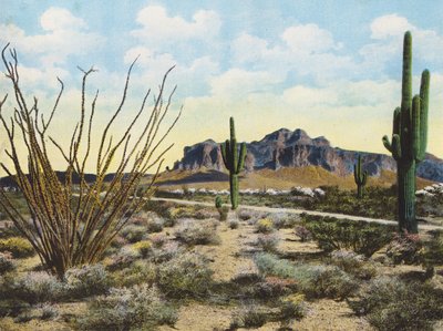Superstition Mountain and Desert, "Apache Trail" (foto en color) de American Photographer