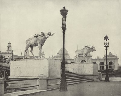 El Puente del Alce de American Photographer