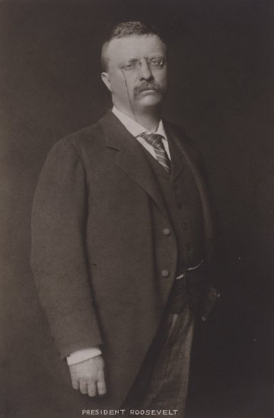 Theodore Roosevelt, 26º Presidente de los Estados Unidos, 1904 de American Photographer