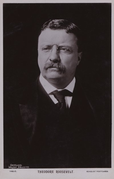 Theodore Roosevelt, político estadounidense y 26º Presidente de los Estados Unidos (foto b/n) de American Photographer