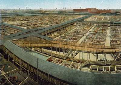 Union Stock Yards de American Photographer