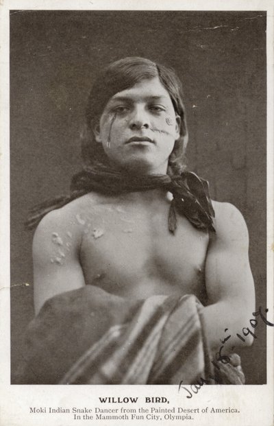 Willow Bird - Moki Indian snake dancer from the painted desert of America (foto b/n) de American Photographer