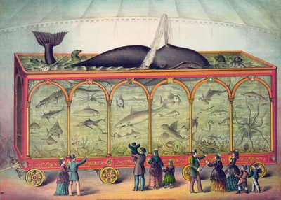 Acuario de circo del siglo XIX de American School