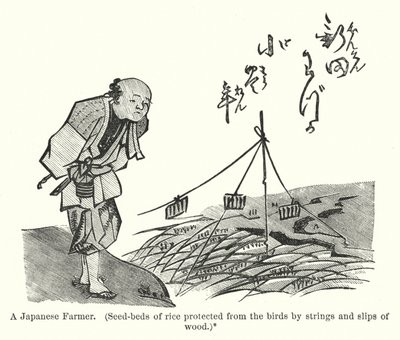Un agricultor japonés, semilleros de arroz protegidos de los pájaros por cuerdas y tiras de madera de American School