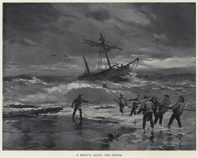 Un Rescate a lo Largo del Sonido de American School