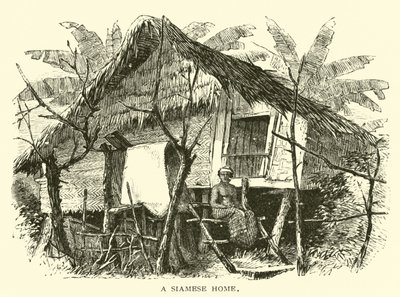 Un hogar siamés de American School