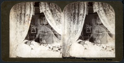Un pequeño corazón solitario, 1901 de American School