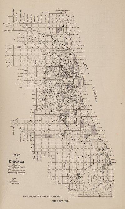 Informe sobre una epidemia de gripe en la ciudad de Chicago en el otoño de 1918 de American School