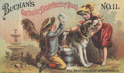 Anuncio de Buchans Carbolic Disinfecting Soap No. 11, c.1880 de American School