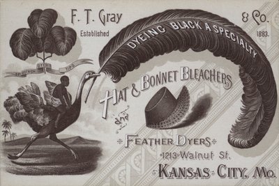 Anuncio de F T Gray, blanqueadores de sombreros y bonetes y tintoreros de plumas, Kansas City, Missouri, EE.UU. de American School