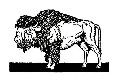 Bisonte americano del Viejo Oeste de American School