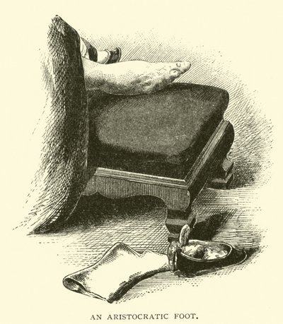Un pie aristocrático de American School