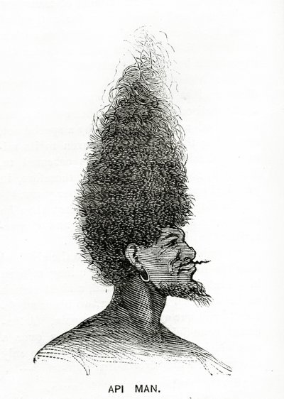 Hombre Api, ilustración de Appletons Journal, 4 de mayo de 1872 de American School
