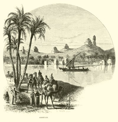Asuán de American School