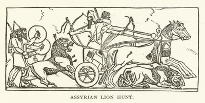 Caza de leones asiria de American School