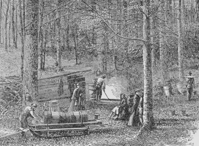 En el campamento de jarabe de arce, ilustración de 