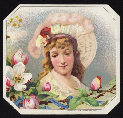 Dama atractiva de American School