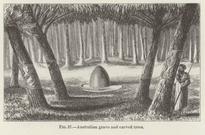 Tumba australiana y árboles tallados de American School