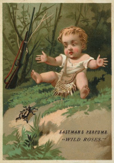 Bebé en el bosque de American School